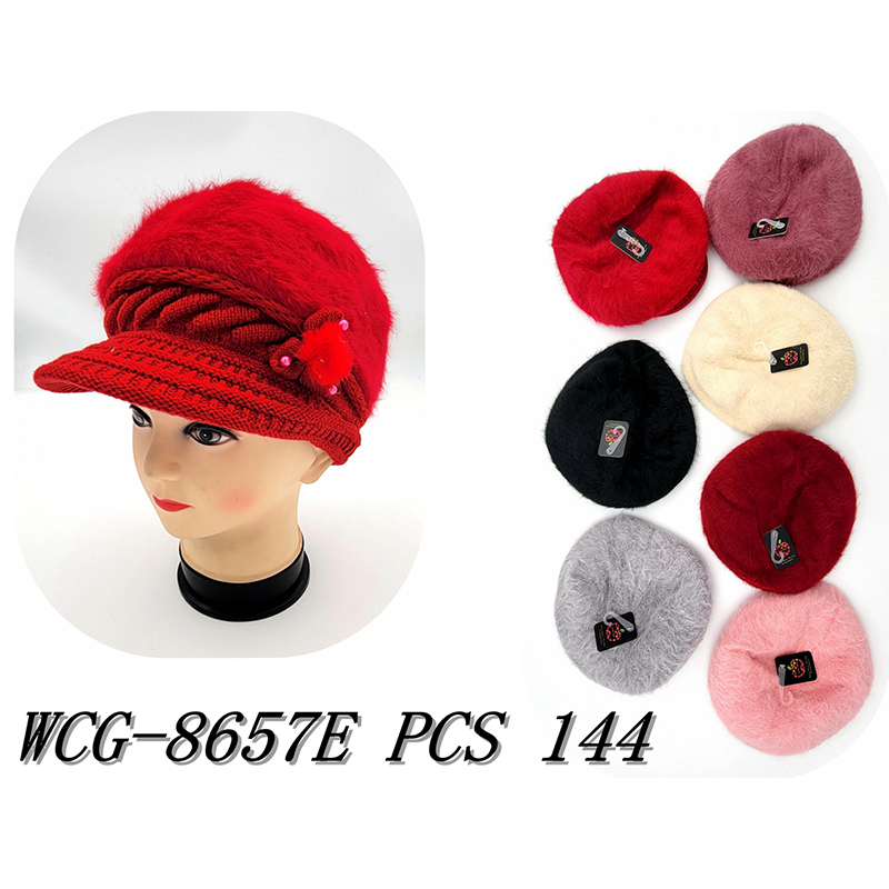 WCG-8657E CS144
